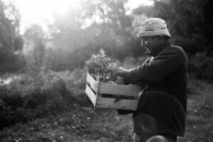 Il Vero Bio: il controllo della certificazione biologica e la veridicità di filiera
