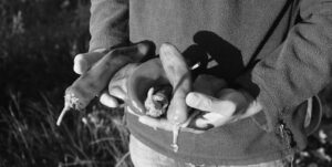 Cambiano le abitudini di consumo degli italiani: le nostre aspettative per il 2022