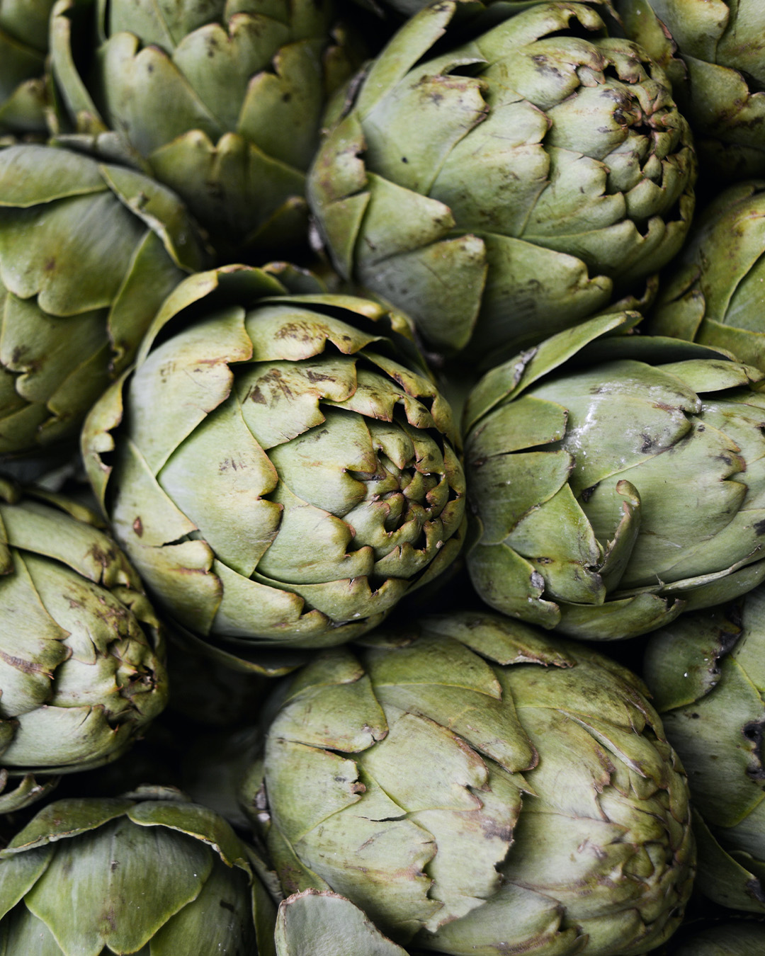 carciofi