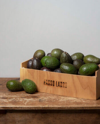 Cassetta Avocado Hass Bio