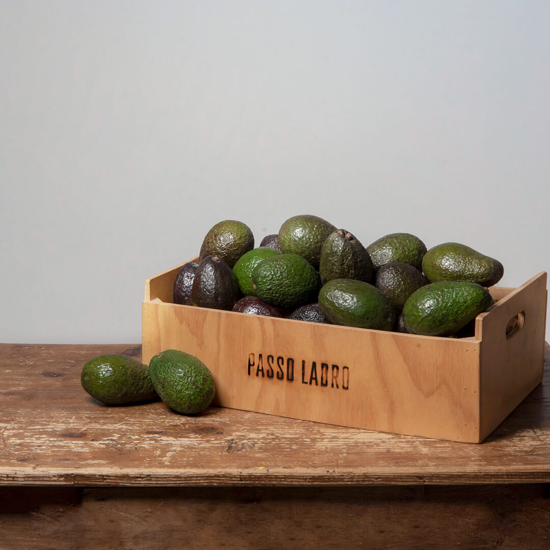 Cassetta Avocado Hass Bio