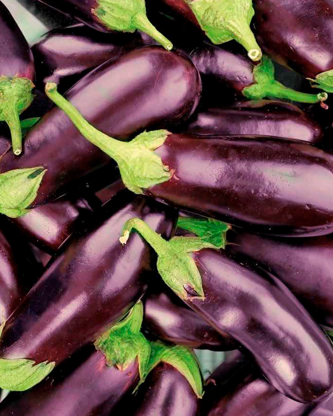 melanzane