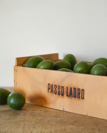 Cassetta Avocado Bacon