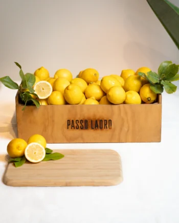 Cassetta Limoni Bio